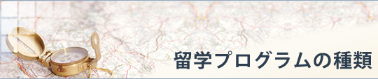 マルタ留学