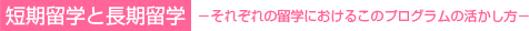 プログラムの生かし方